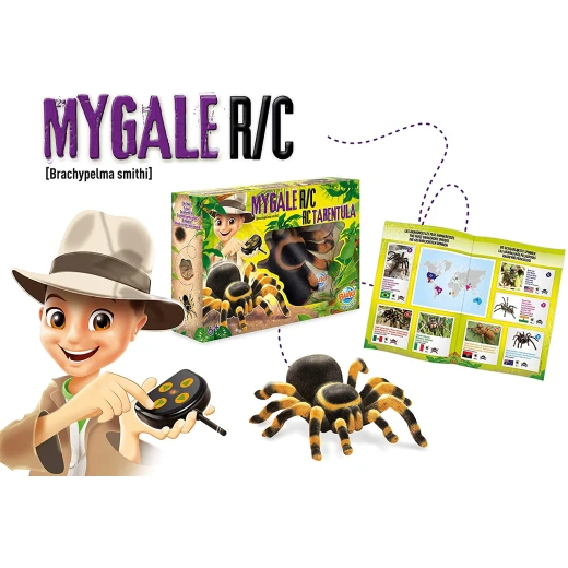 Buki Mygale Radio Controlled