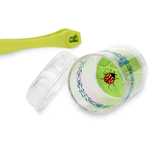 B. Toys , Insect Catching Kit