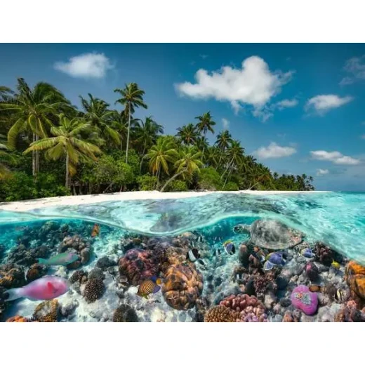 Ravensburger | Jigsaw Puzzle A Dive in the Maldives - 2000 Pieces Puzzle'