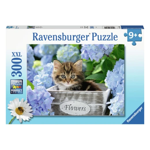 Ravensburger | puzzle | Small Kitten | 300pcs