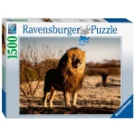 Ravensburger | Puzzle 1500 Pc Lion