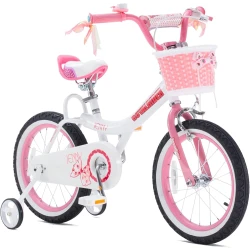 RoyalBaby |Jenny Bunny 16 Inch Bicycle white