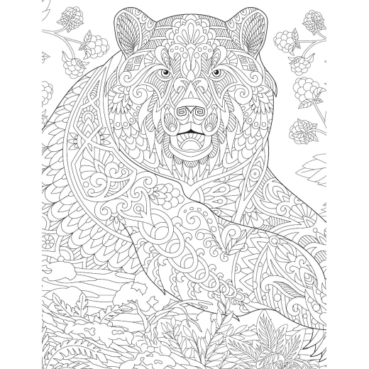 Dreamland Wilderness Coloring Book for Adults